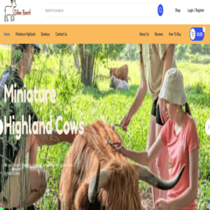 Miniature Highland cows being petted by children outdoors in a green farm setting.